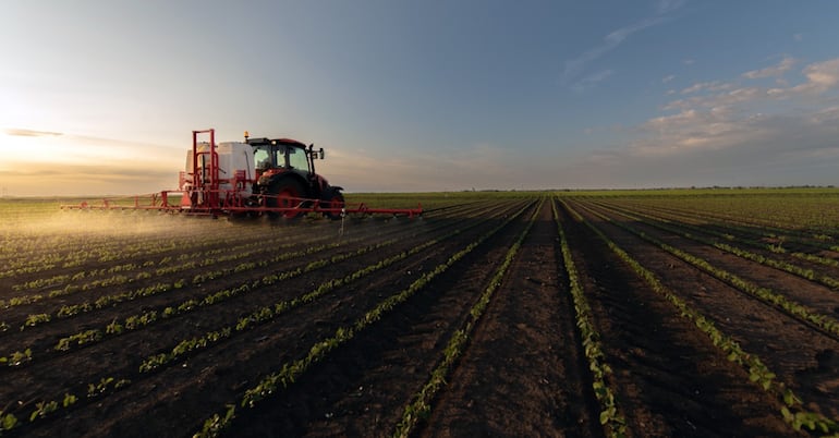 ¿Cómo produce hoy el Chaco? Encuesta del MAG muestra fuerte avance de la soja y el maíz ¿Cómo produce hoy el Chaco? Encuesta del MAG muestra fuerte avance de la soja y el maíz