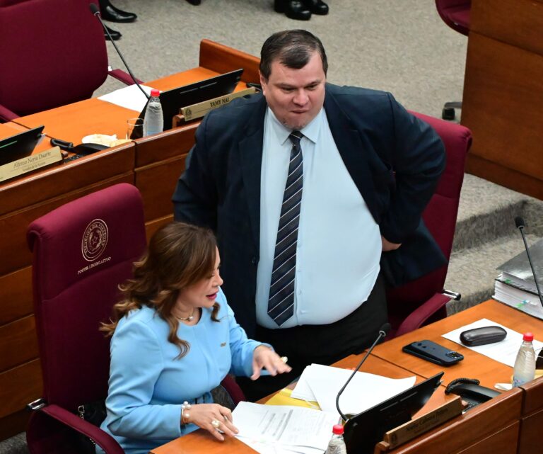 Reforma de caja fiscal: Amarilla descarta sanción ficta y anticipa cambios en el Senado