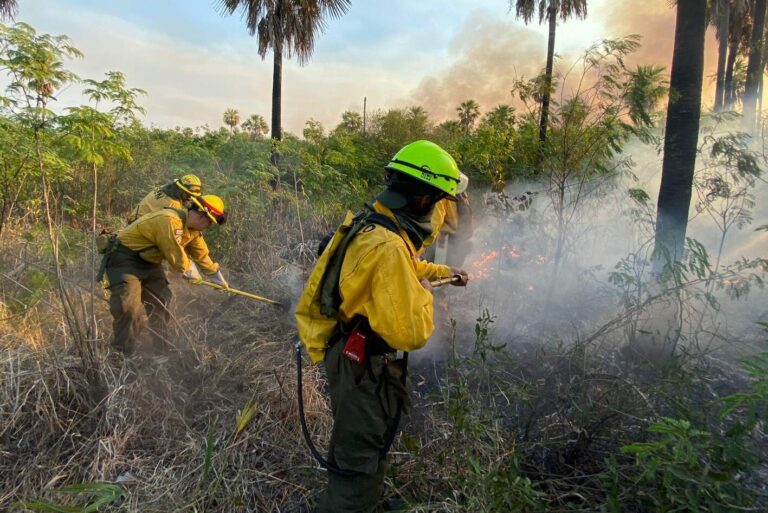 Bomberos recuerdan prohibición de quemas en Paraguay ante riesgo crítico de incendios