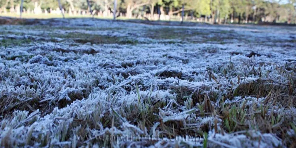 CARTERA AGROPECUARIA ALERTA SOBRE HELADAS Y ACTIVA MEDIDAS PARA PROTEGER LA PRODUCCIÓN CARTERA AGROPECUARIA ALERTA SOBRE HELADAS Y ACTIVA MEDIDAS PARA PROTEGER LA PRODUCCIÓN