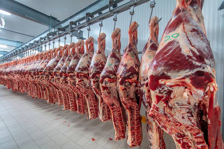 Industria frigorífica se declara transparente ante investigación y descarta colusión