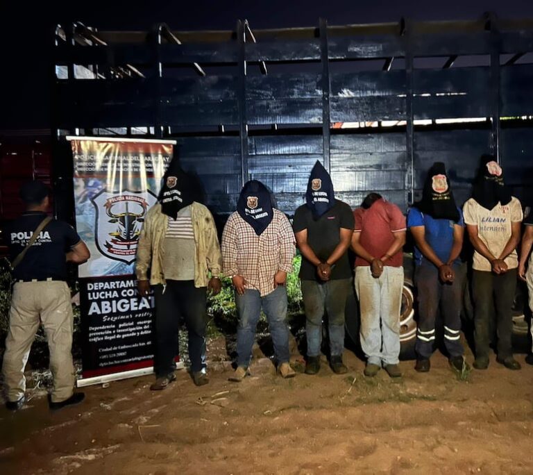 Toma de rehén y robo de animales en Tacuatí: detienen a siete hombres e incautan camión en Concepción Toma de rehén y robo de animales en Tacuatí: detienen a siete hombres e incautan camión en Concepción