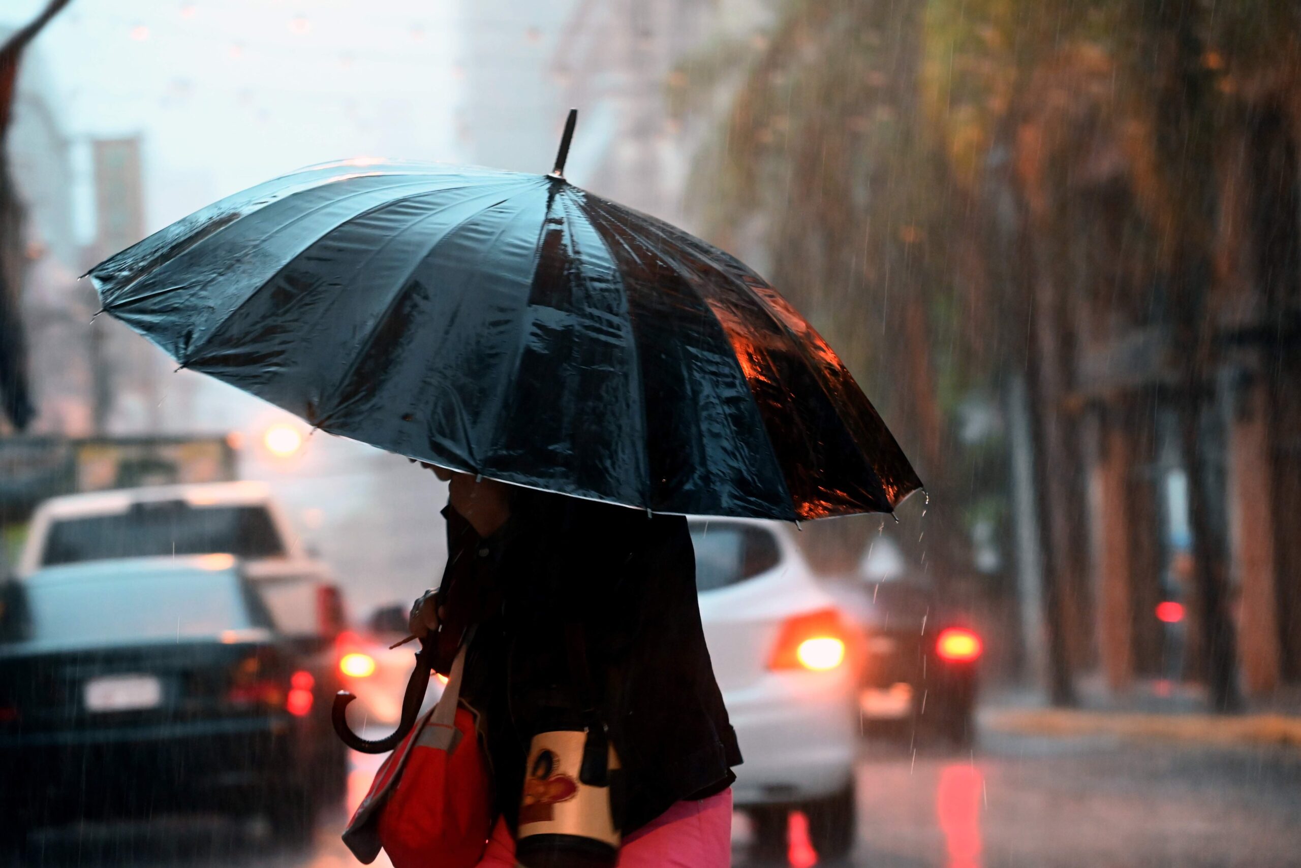 El Niño traerá un invierno cálido y lluvias por encima de lo normal, advierte Meteorología El Niño traerá un invierno cálido y lluvias por encima de lo normal, advierte Meteorología