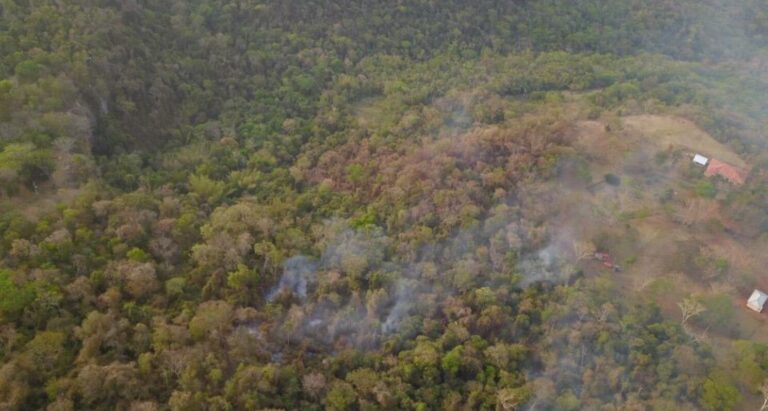 Reportan 26 focos de calor en áreas protegidas durante la madrugada Reportan 26 focos de calor en áreas protegidas durante la madrugada