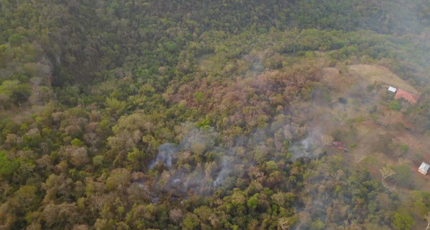Reportan 26 focos de calor en áreas protegidas durante la madrugada