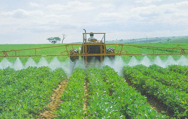 Temen productores locales las secuelas de la decisión Temen productores locales las secuelas de la decisión