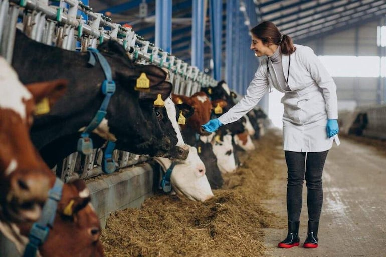 El agro busca “mano de obra calificada” y suma más mujeres en puestos clave