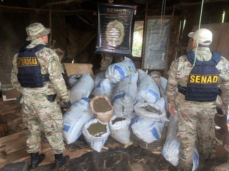 Video: Senad desarticula base de producción de marihuana en Maracaná Video: Senad desarticula base de producción de marihuana en Maracaná